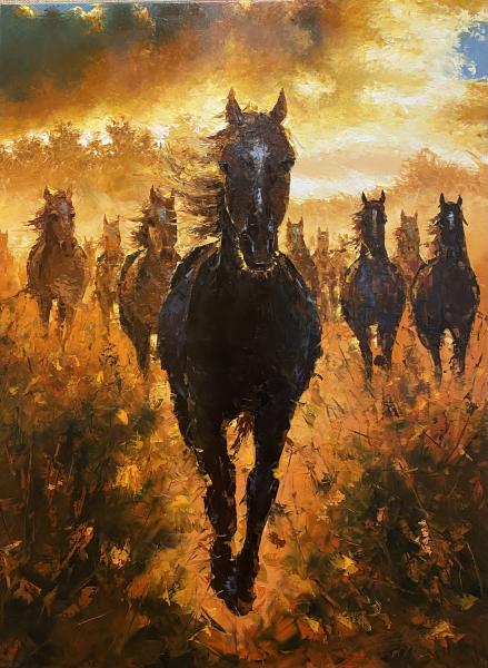 Herd of Horses-Eduardo