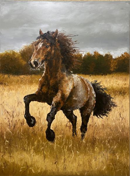 Prairie Horse-Eduardo