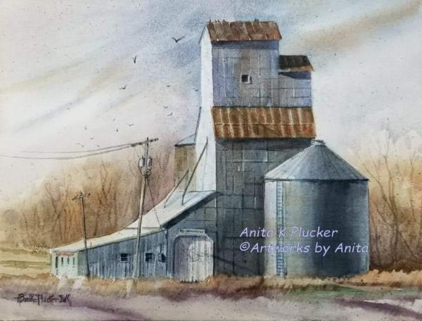 Anita K Plucker 